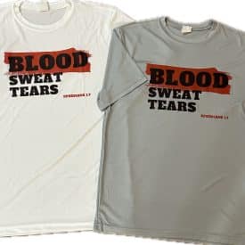 Blood Sweat Tears Blood Sweat Tears